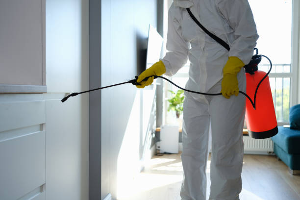 Professional Mold Removal in Lakesite, TN